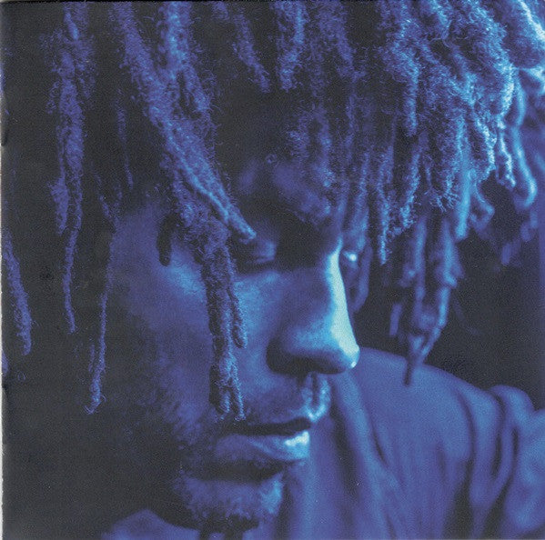 Lenny Kravitz : Raise Vibration (CD, Album, Gat)