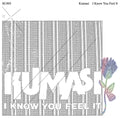 Kumasi (2) : I Know You Feel It (2x12", Comp)