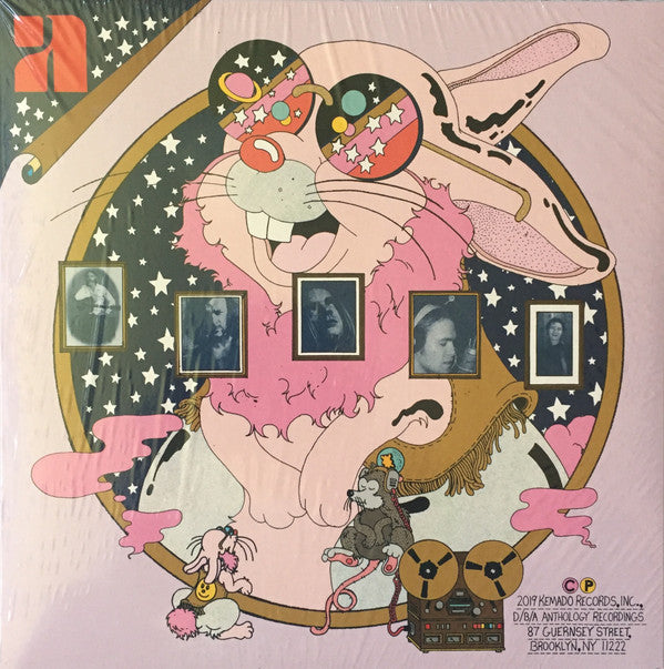 Various : Sad About The Times (2xLP, Comp)