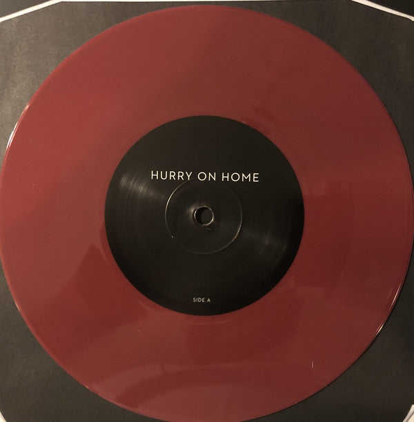 Sleater-Kinney : Hurry On Home (7", Single, Mar)