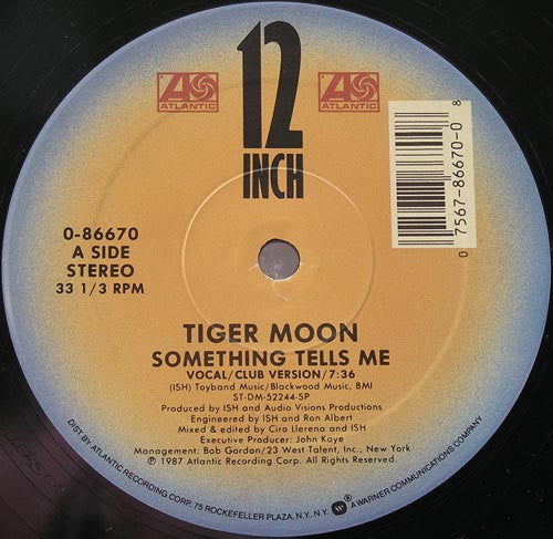 Tiger Moon : Something Tells Me (12")