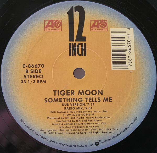 Tiger Moon : Something Tells Me (12")