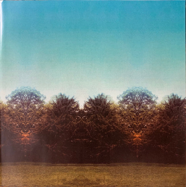Temples (4) : Sun Structures (LP, Album, RP, Mem)