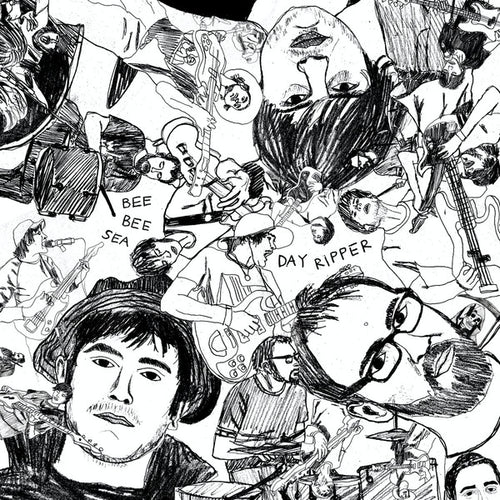 Bee Bee Sea : Day Ripper (LP, Album)