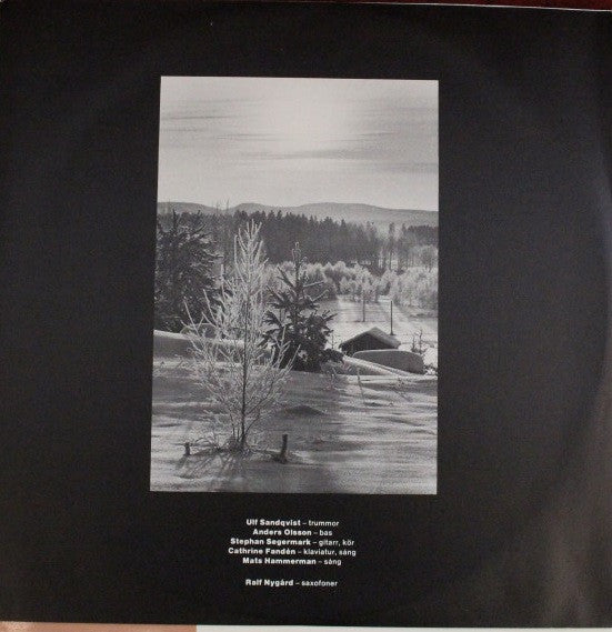 Vacum : Den Sista Vintern (LP, Album, Ltd, RE, Ora)
