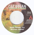 Marlon Asher : Ganja Farmer (7")