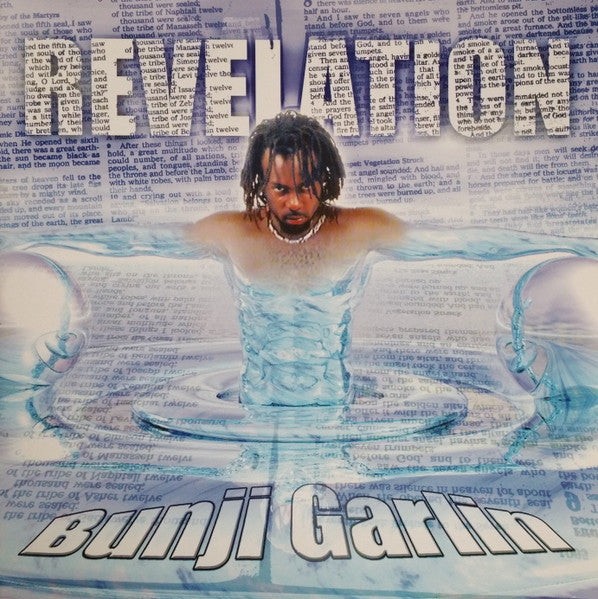 Bunji Garlin : Revelation (LP, Album)