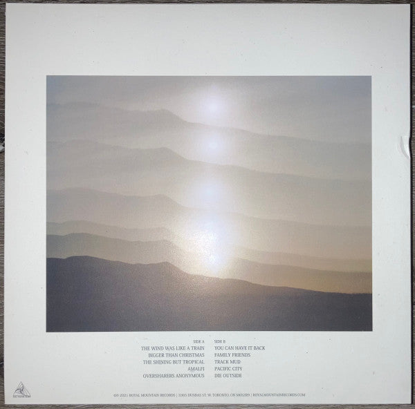 Wild Pink (2) : A Billion Little Lights (LP, Ltd, Eve)