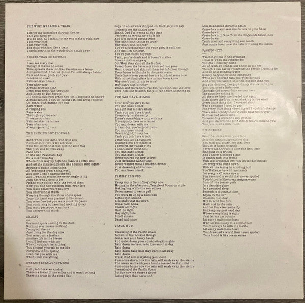 Wild Pink (2) : A Billion Little Lights (LP, Ltd, Eve)