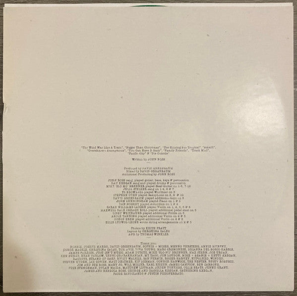 Wild Pink (2) : A Billion Little Lights (LP, Ltd, Eve)