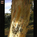 Bark Haze / Our Love Will Destroy The World : Bark Haze / Our Love Will Destroy The World (7", Single)