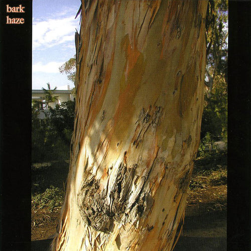 Bark Haze / Our Love Will Destroy The World : Bark Haze / Our Love Will Destroy The World (7", Single)