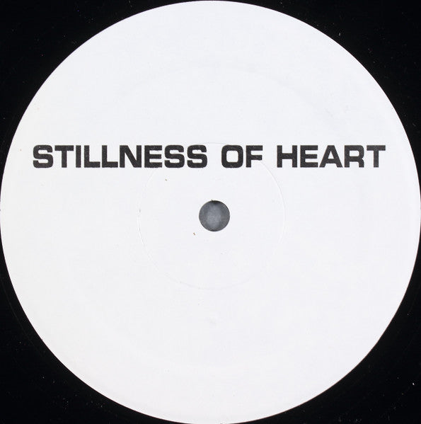 Lenny Kravitz : Stillness Of Heart (Remix) (12")