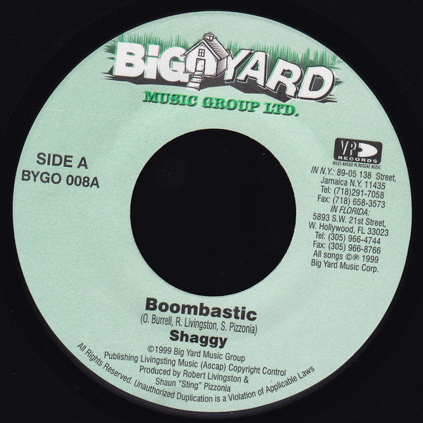 Shaggy : Boombastic (7")