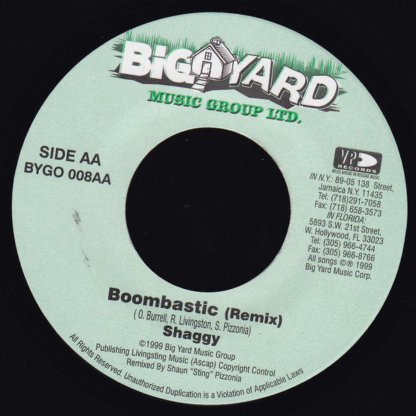Shaggy : Boombastic (7")