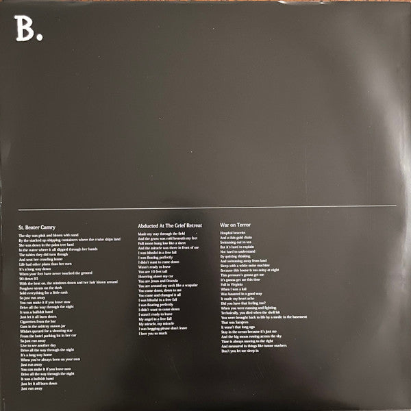 Wild Pink (2) : ILYSM (2xLP, Ltd, Gal)