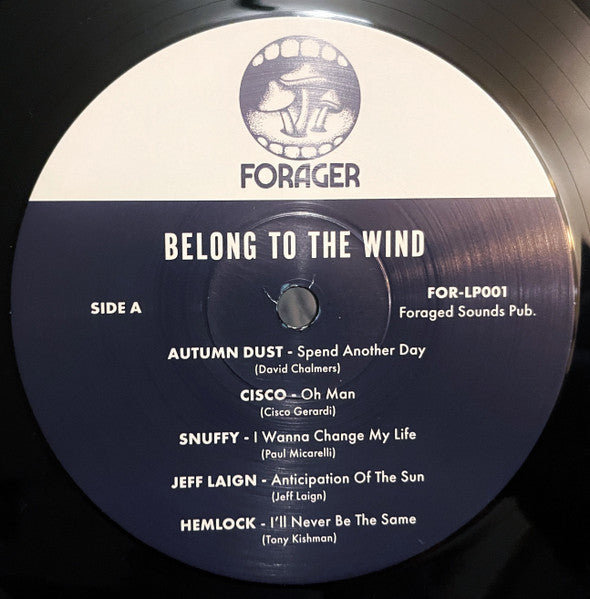 Various : Belong To The Wind  (LP, Comp, Ltd, RE, RM)