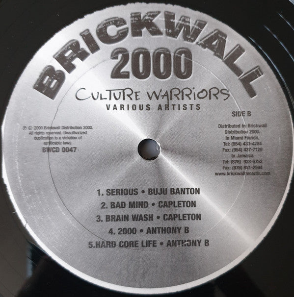 Various : Culture Warriors (LP, Comp)