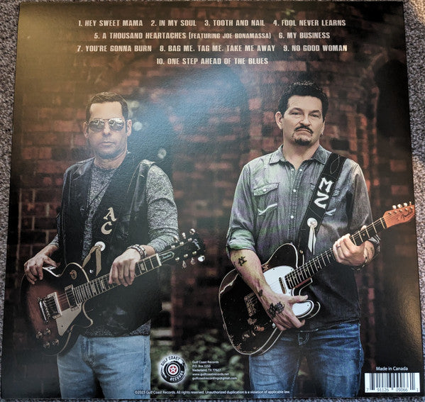 Mike Zito, Albert Castiglia : Blood Brothers (LP, Album)
