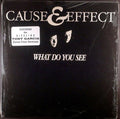 Cause & Effect : What Do You See (12")