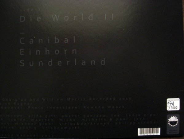 Lebanon Hanover : The World Is Getting Colder (LP, Album, Ltd, Num)