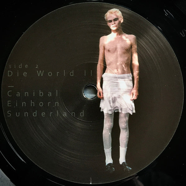 Lebanon Hanover : The World Is Getting Colder (LP, Album, Ltd, Num)