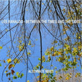Lee Ranaldo : Between The Times And The Tides Alternate Mixes (7", Single)