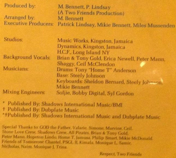 Various : Two Friends Presents Girls & Guys (LP, Comp)