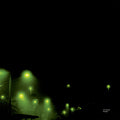 Tim Hecker : Mirages (2x12", Album, RE, RM)