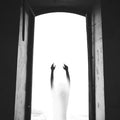 Illum Sphere : Ghosts Of Then And Now (2xLP, Album)