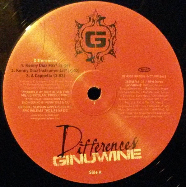 Ginuwine : Differences (Remixes) (12", Promo)