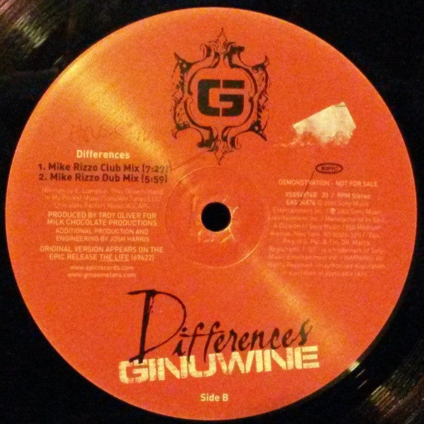 Ginuwine : Differences (Remixes) (12", Promo)