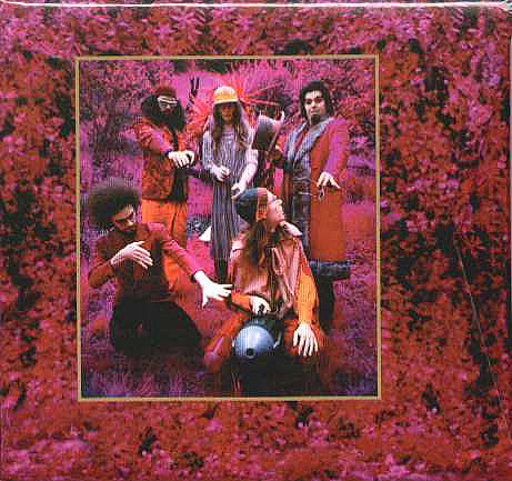 Captain Beefheart & His Magic Band* : Grow Fins: Rarities (1965-1982) (4xCD + CD, Enh + Box, Album)