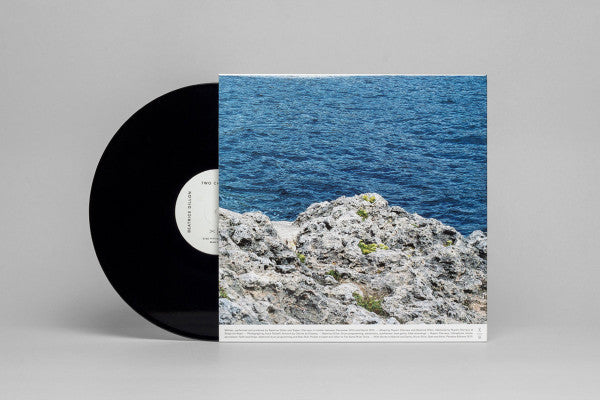 Beatrice Dillon And Rupert Clervaux : Two Changes (LP, Album, Ltd)