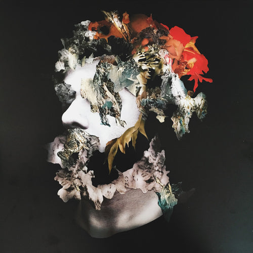 Ash Koosha : I AKA I (LP, Album, Cle)